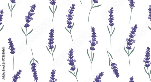 Lavender Pattern Minimalist Illustration White Background Floral Vector