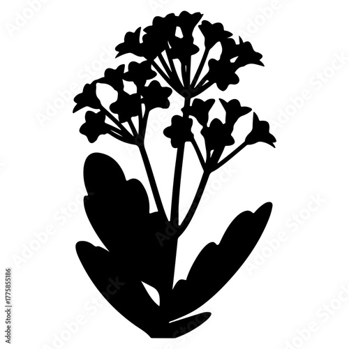 Gear icon representing settings and configuration