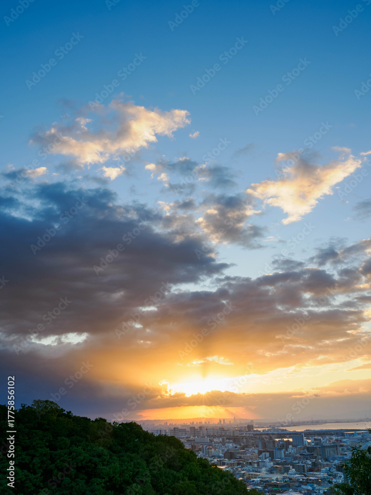 Obraz premium 都市の夜明け 神戸市の高台から市街地大阪湾を隔て大阪のビル群の景観