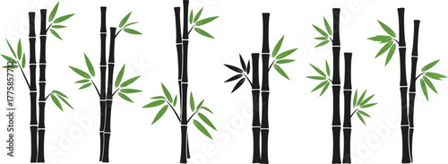 Bamboo Stalks and Green Leaves Isolated on White Background Stock
