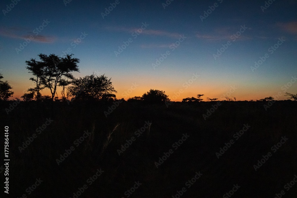 Obraz premium Twilight Silhouettes Beneath Gradient Sky Over Quiet Landscape