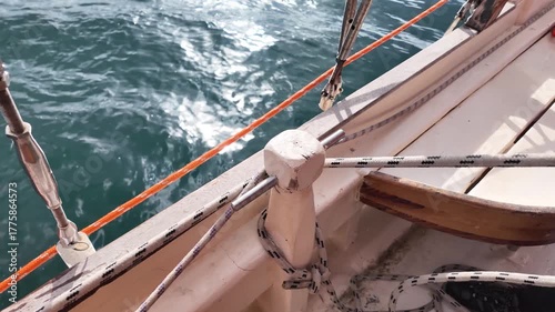 Marine life. A man quickly tightens the rope and ties it securely to set sail.