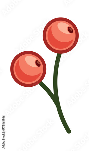 Viburnum holly berry Christmas decoration