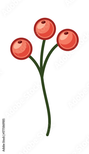 Holly berry Christmas cranberry element