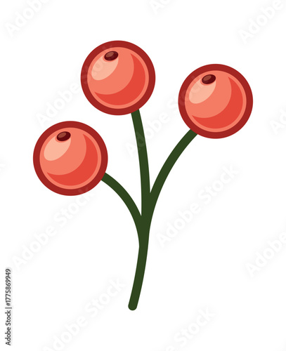 Winter rowanberry Christmas plant element