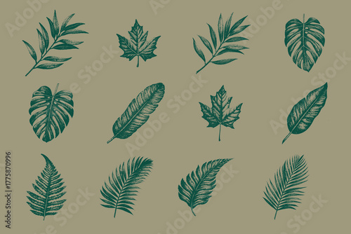 Halftone Dotted Leaves Silhouettes Collection vector illustration. Grunge autumn season Monstera leaf, Palm leaf, Banana leaf, Fern, Maple leaf, Eucalyptus. Eps 10