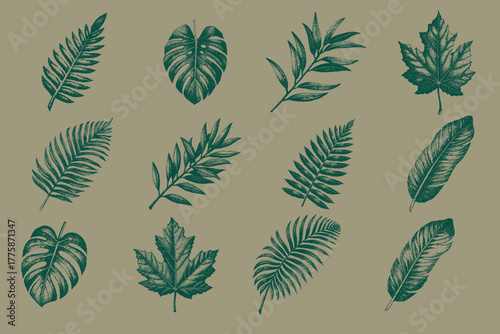Halftone Monstera leaf, Palm leaf, Banana leaf, Fern, Maple leaf, Eucalyptus isolated stippling stamps set. Grunge autumn season retro  vintage magazine style collage elements vector illustration.
