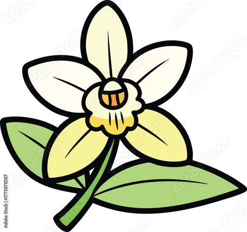 Delicate Vanilla Orchid Flower with Green Leaves on a Simple White Background