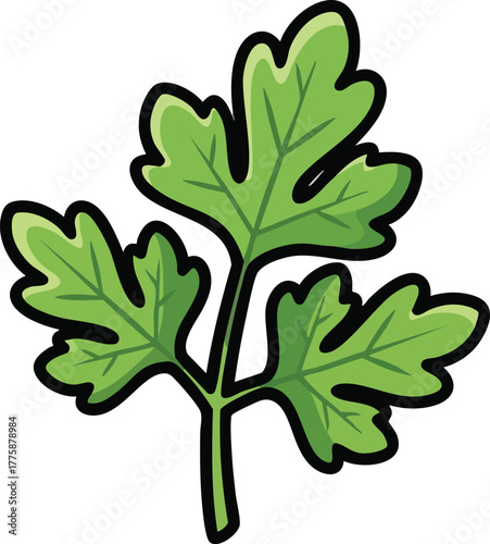 Green Leafy Herb Branch With Three Lobed Leaves Isolated On White Background