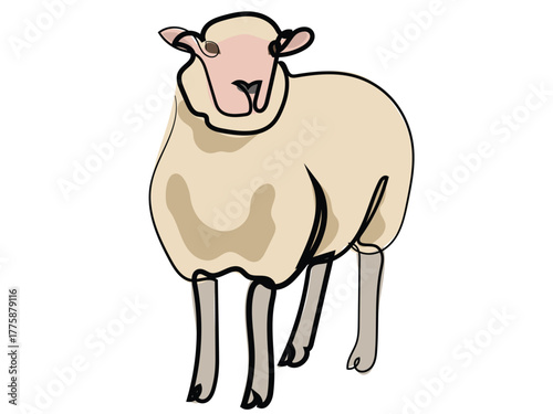 Sheep in continuous line drawing style