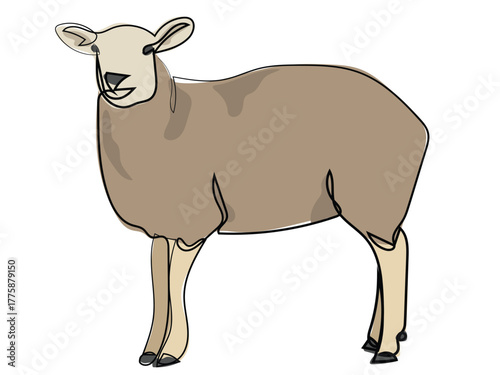 Sheep in continuous line drawing style