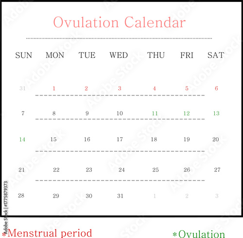 Ovulation calendar showing menstrual cycle and fertile window for women, flat art design style.
