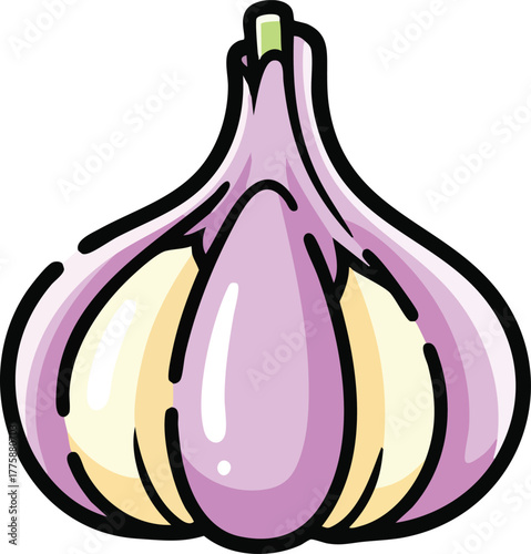 Purple Garlic Bulb With Creamy White Cloves And Green Stem On White Background Vector Illustration