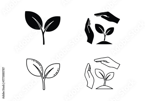 Four seedling icons for growth and protection concepts - Vector icon symbol for website - Icon vector - Blue icon vector - Line and glyph solid icon set