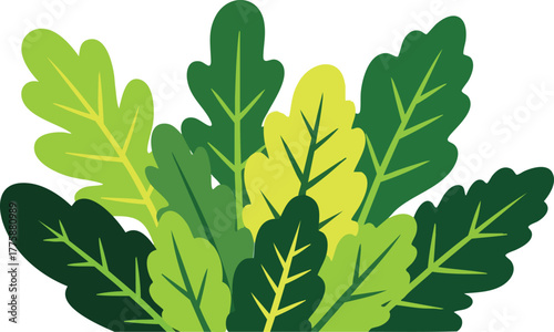 A Collection of Lush Green and Yellow Oak Leaves in Varying Shades on a White Background