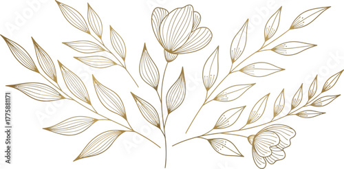 Golden Outline Floral Design Element with Delicate Flowers on White Background
