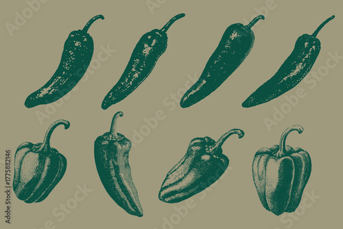 Grunge chili paper collage vector illustration. Vintage Retro halftone Hot chili for creative design. Eps 10