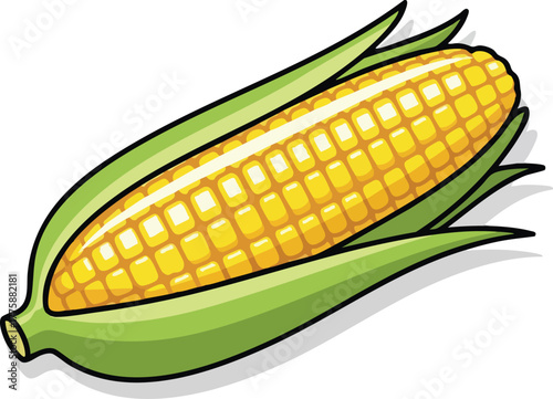 Detailed close up of a ripe yellow corn cob with green husks on a white background