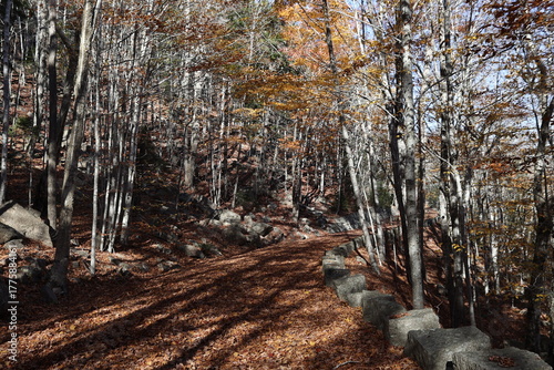 Acadia Carriage Road