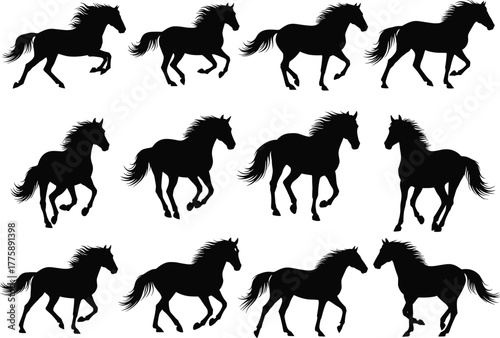 Running horse silhouettes collection, black galloping horses in motion, wild stallion vector illustration, animal movement design for art, logo, and decoration use