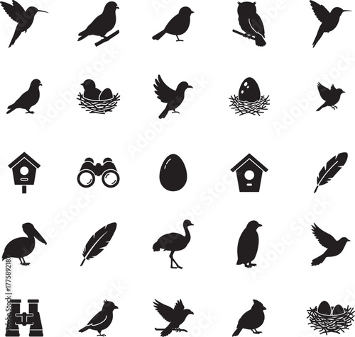 Bird Silhouette icon collection. Includes Silhouette symbols bird, feather, egg, nest, birdhouse, binoculars and more. Bird icon set. Minimalist icons pack.