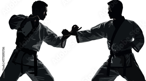 Two Dark Silhouetted Karate Fighters In Mid-Action On White Background