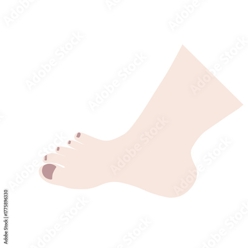 Amputated Toes or Severed Foot Injury Vector