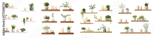 Shelves with Plants and Candles Collection on White Background