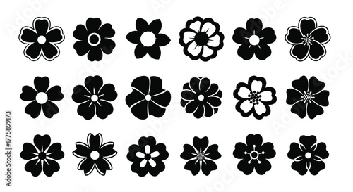 Vector flower designs floral elements blossom petals clip art set