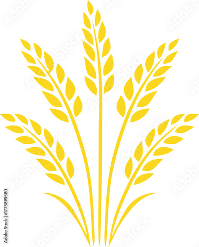 Vector illustration of wheat or rye bunch with whole grain, organic farm harvest design, golden cereal plant, agriculture element for bread, flour and food branding