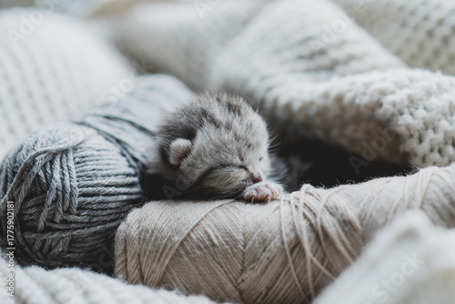 A small, fluffy kitten peacefully sleeps nestled among soft strands of yarn. The cozy environment features warm blankets, creating a serene atmosphere perfect for rest.