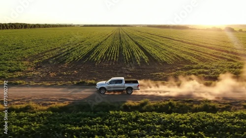 Truck driving down a dirt road in a rural agricultural landscape with crops and sunlight