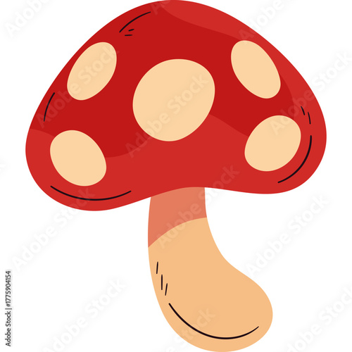 Minimal Colorful Flat Design of Wild Fungi