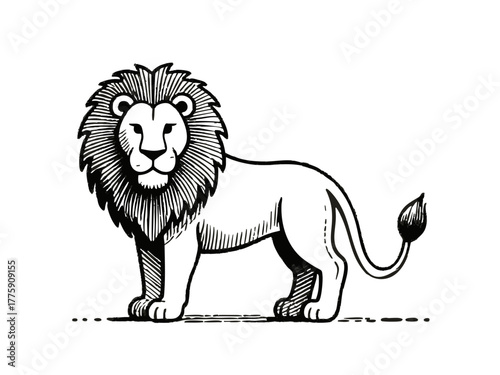 Simple lion illustration. Monochrome. Line art. Animal. Manes.