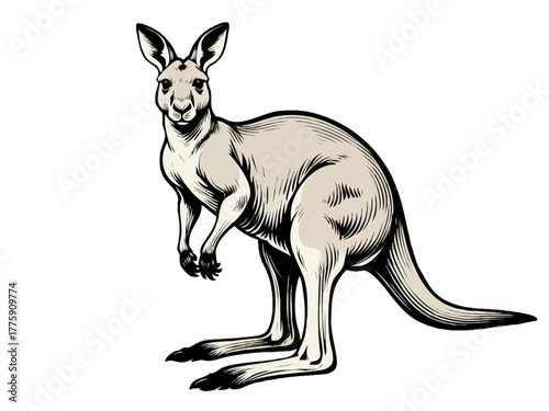 Simple illustration of a kangaroo. Monochrome. Line art. Animal. Australia.