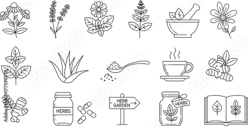 Herbal Elements Outline Collection with Plants, Tea Cup, Herbs Jar and Capsules