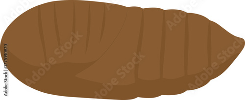Simple Flat Illustration of Butterfly Pupa Stage Insect Development