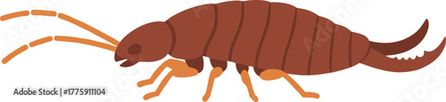Simple Flat Color Earwig Insect with Pincers Shape Illustration