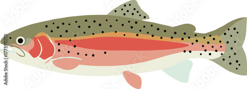 Simple Flat Design of a Rainbow Trout Fish Freshwater Illustration