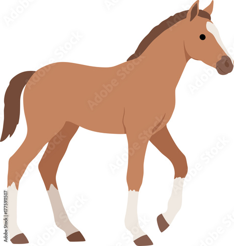 Simple Flat Cute Walking Horse Foal Domestic Animal Illustration