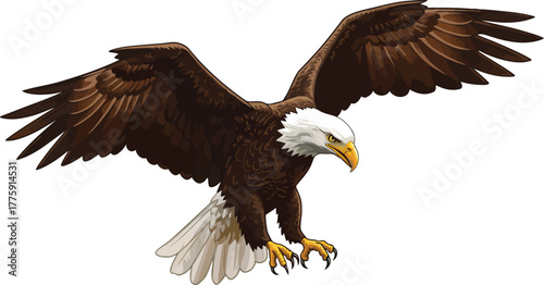 Majestic bald eagle soaring wildlife nature freedom power vector