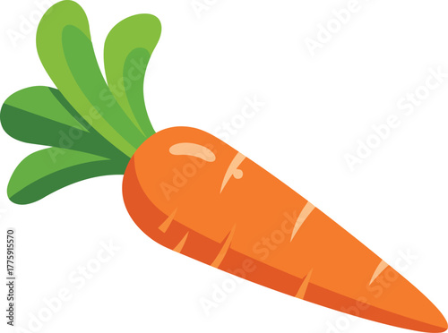 Vibrant orange carrot with green stems fresh organic root vegetable healthy food ingredient vector