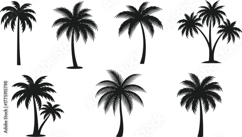 Set of tropical palm tree silhouettes isolated on white background, black vector illustration for beach, summer, and nature design themes