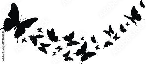 Beautiful flying butterfly silhouettes isolated on white background, swarm of elegant insects in motion, vector illustration for design, art, and decoration projects