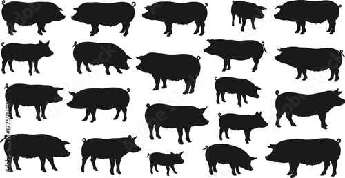 Pig silhouette collection, black farm animal vector set, domestic pig shapes for agriculture, butcher shop, food design, and rural illustration.