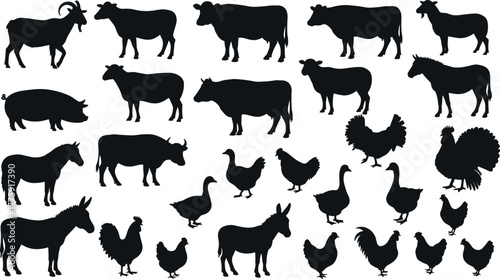 Farm animal silhouettes collection, cow, pig, goat, sheep, horse, rooster, chicken, duck, turkey, goose, livestock vector illustration design.