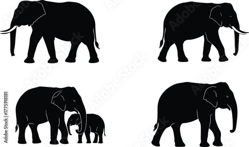 Silhouette elephants walking in nature, wildlife family scene, African and Asian elephants, mother and baby elephants isolated on white background vector art