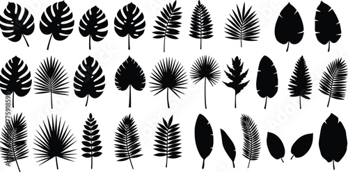 Collection of different tree silhouettes including pine and deciduous species, black and white forest nature illustration for landscape design and decoration