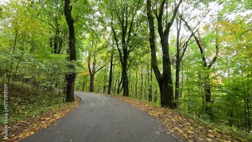 Czechia Bohemia mountain drive autumn forest POV. Czech Republic, Czechia historically Bohemia. Central Europe. Autumn fall season, brilliant colorful leaves along roads and trails. Farm rural area. 