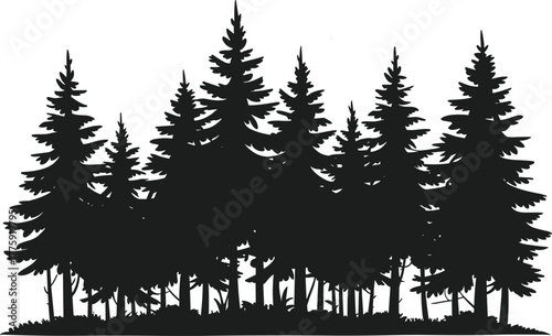Black silhouette of a dense forest with pine trees and undergrowth